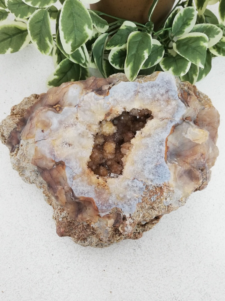 Pink Amethyst - Half Polished Druzy Slab Pink Amethyst - Half Polished Druzy Slab